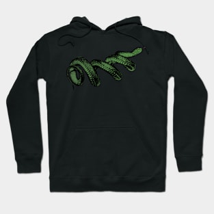 Coiled Snake Hoodie